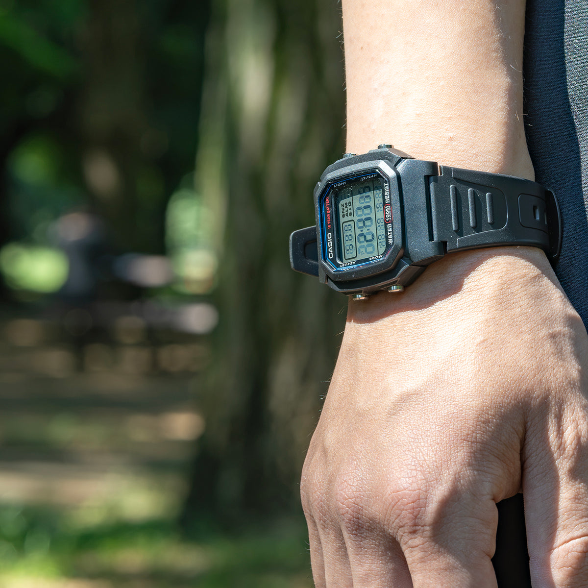 CASIO カシオ W-800H-1A ブラック ブラック文字盤 デジタル メンズ 腕時計