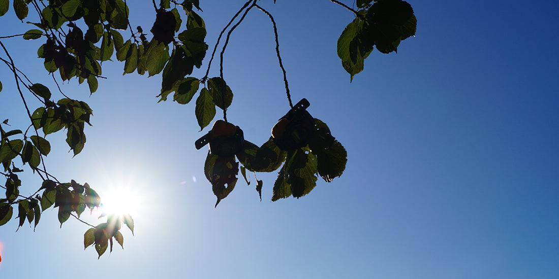 2013.10 青空