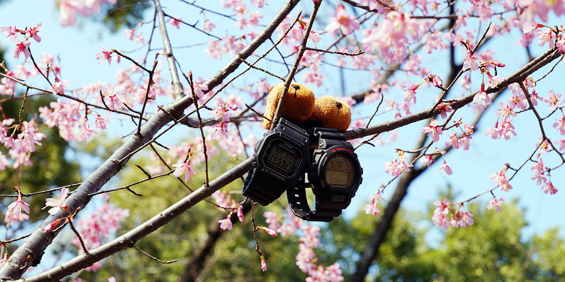 2014.04 阿亀