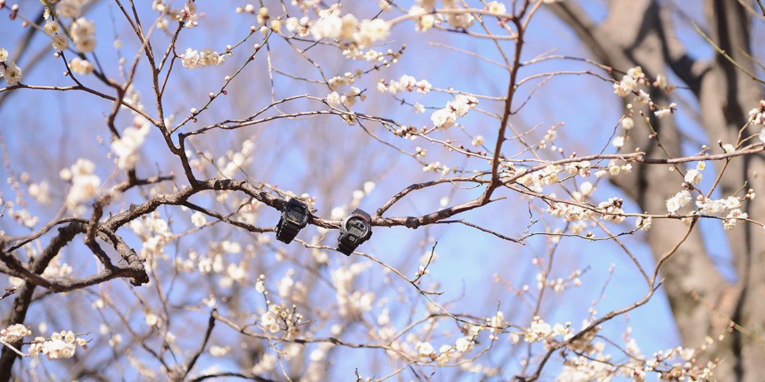 2018.03 待遠