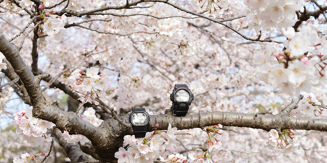 2020.04 爛花